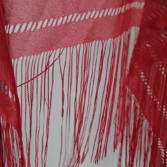 Elegant Red Floral Shawl with Fringe Boho Feminine Girly Cottagecore - Picture 5 of 12